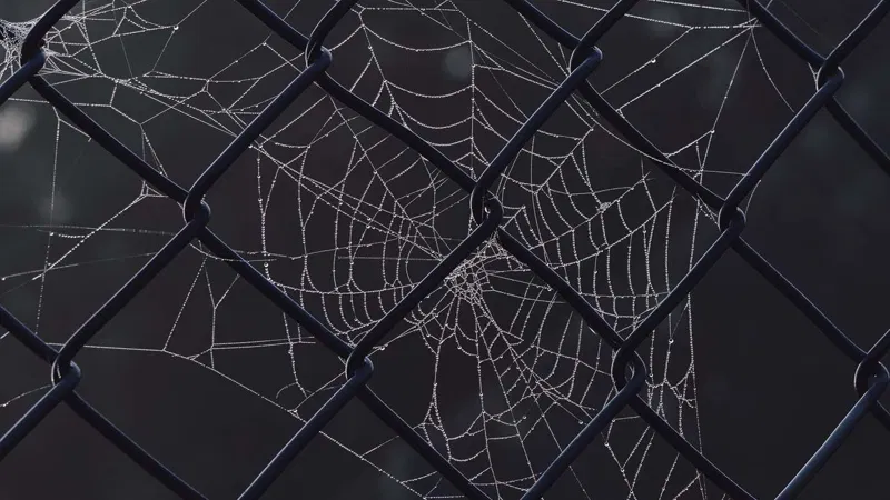 What-is-the-Dark-Web-How-to-Search